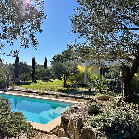 La Villa Aux Oliviers Flayosc Exteriér fotografie